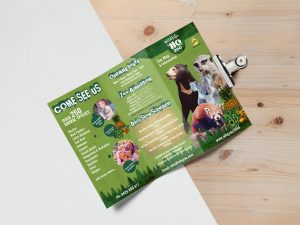 A4 brochure fold to DL